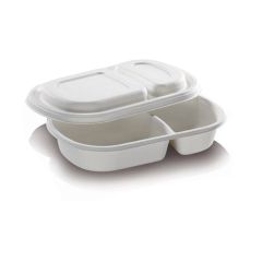 Suikerriet box + deksel 240x154x40mm 2-vaks