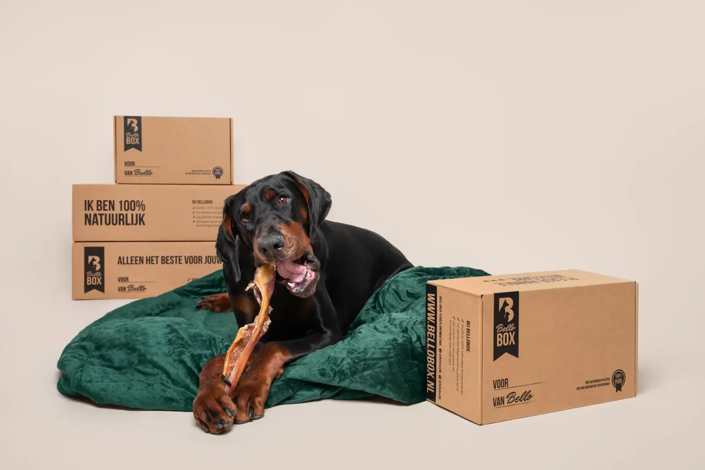 Bellobox_amerikaanse_vouwdozen_bedrukt