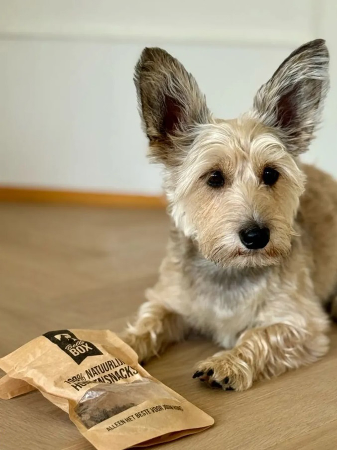 Bellobox_kraft_stazakken_bedrukt_1